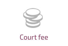 Court fees